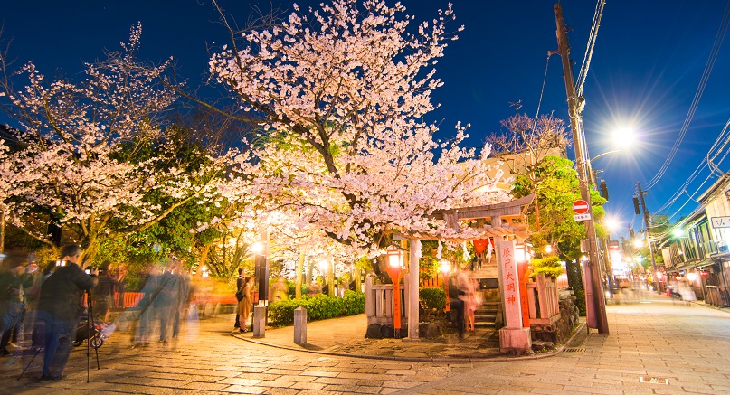 空き家・空き地の草刈り・剪定 | 【安心価格】精華町・木津川市の造園・植木屋 | 安い理由、安心の理由はここにあります。